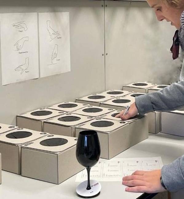 Mouthfeel boxes